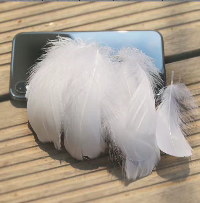 Florette Dyed Feathers