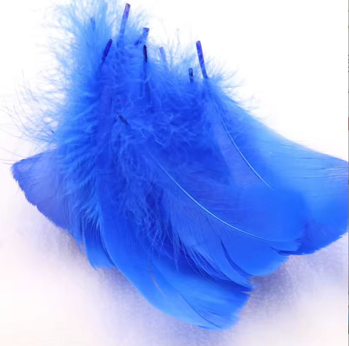 Florette Dyed Feathers