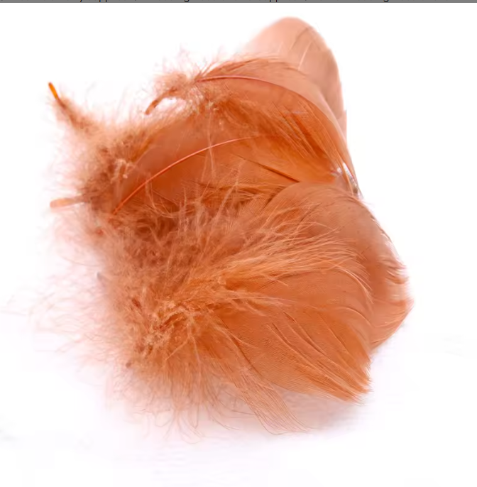 Florette Dyed Feathers
