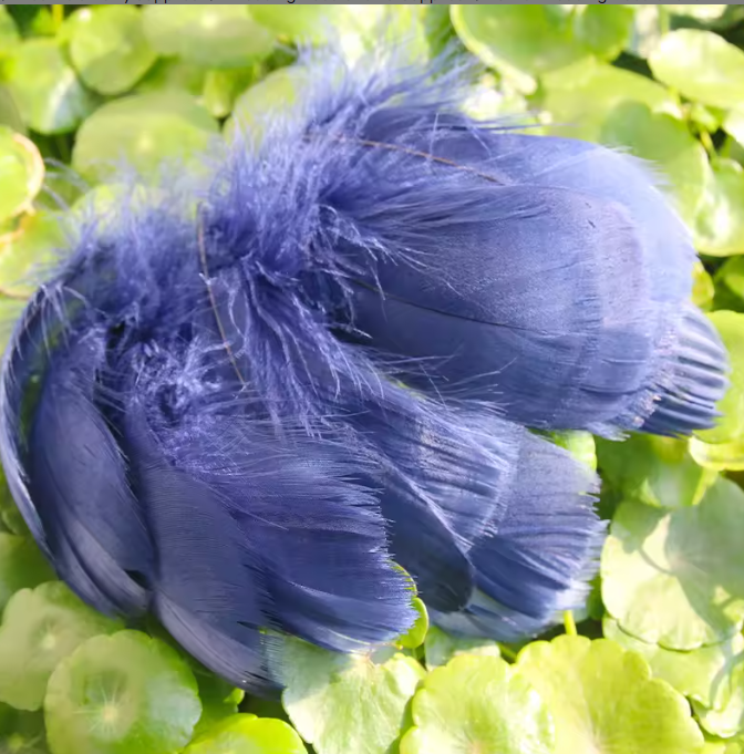 Florette Dyed Feathers