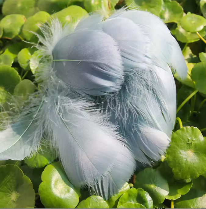 Florette Dyed Feathers