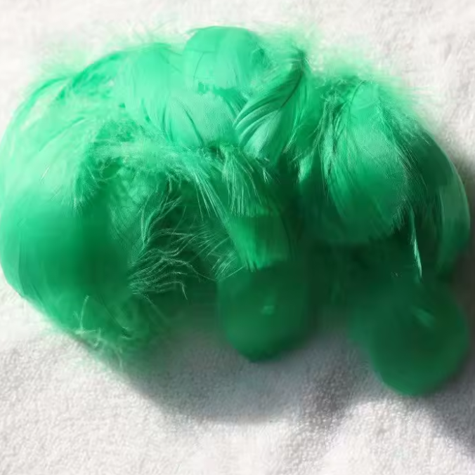 Florette Dyed Feathers