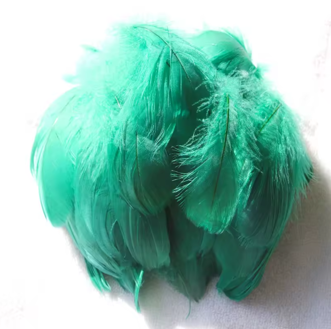 Florette Dyed Feathers