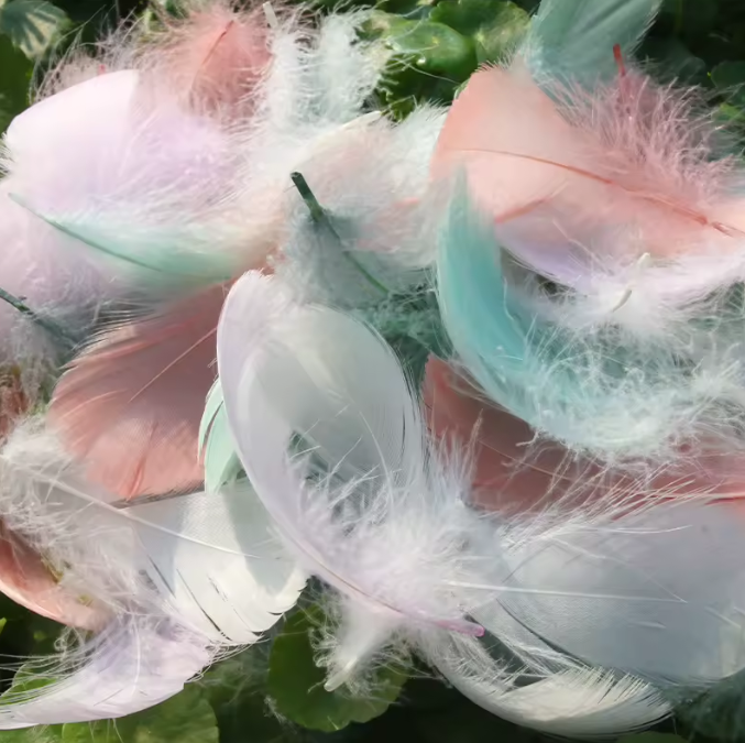 Florette Dyed Feathers