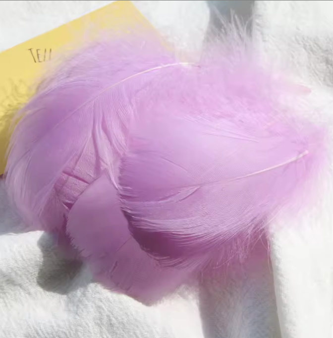 Florette Dyed Feathers