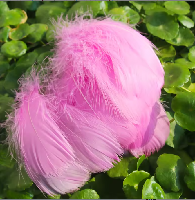 Florette Dyed Feathers