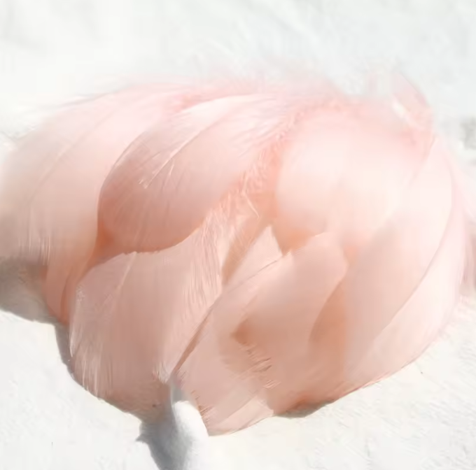 Florette Dyed Feathers