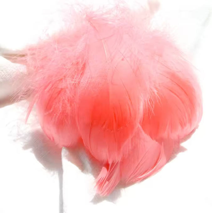 Florette Dyed Feathers