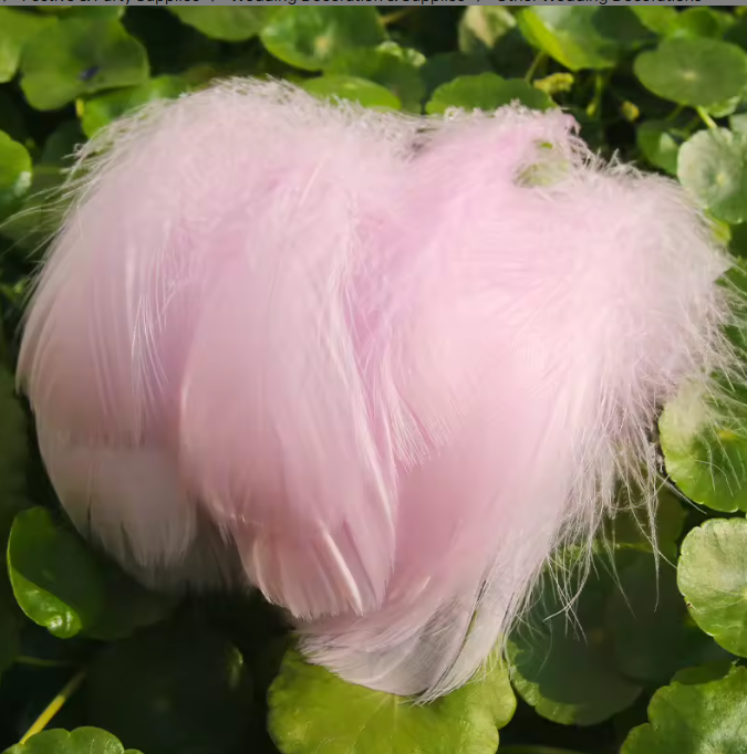 Florette Dyed Feathers