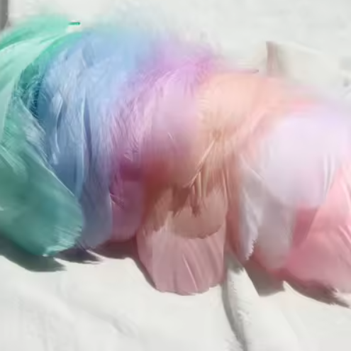 Florette Dyed Feathers