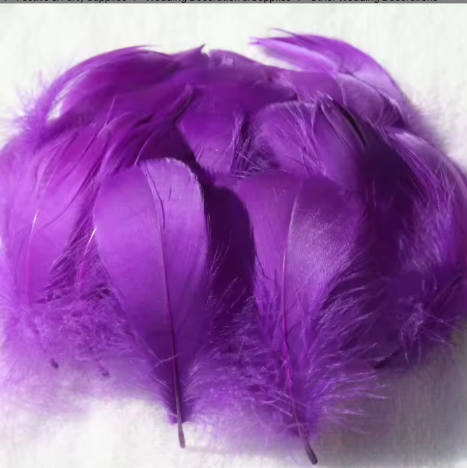Florette Dyed Feathers