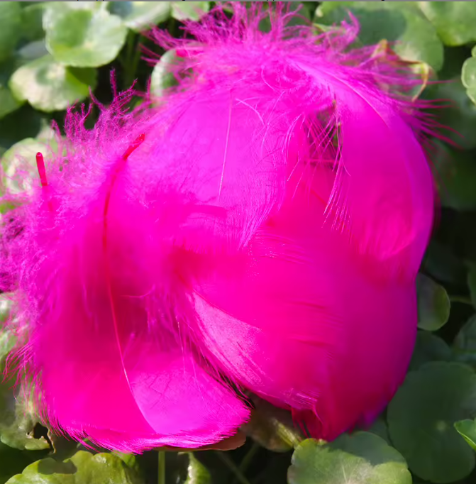 Florette Dyed Feathers