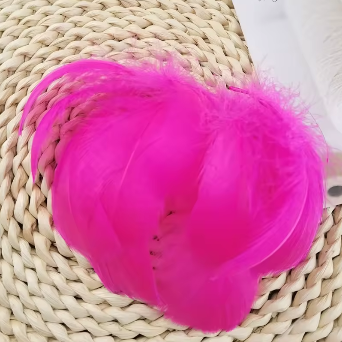 Florette Dyed Feathers