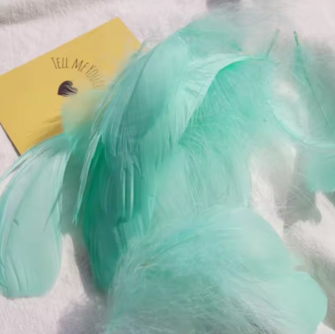 Florette Dyed Feathers