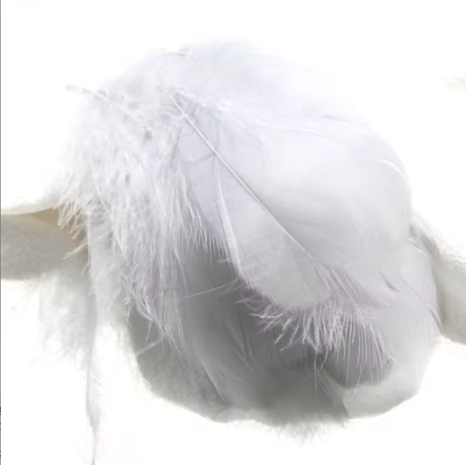 Florette Dyed Feathers