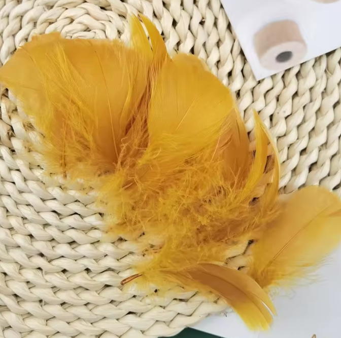 Florette Dyed Feathers
