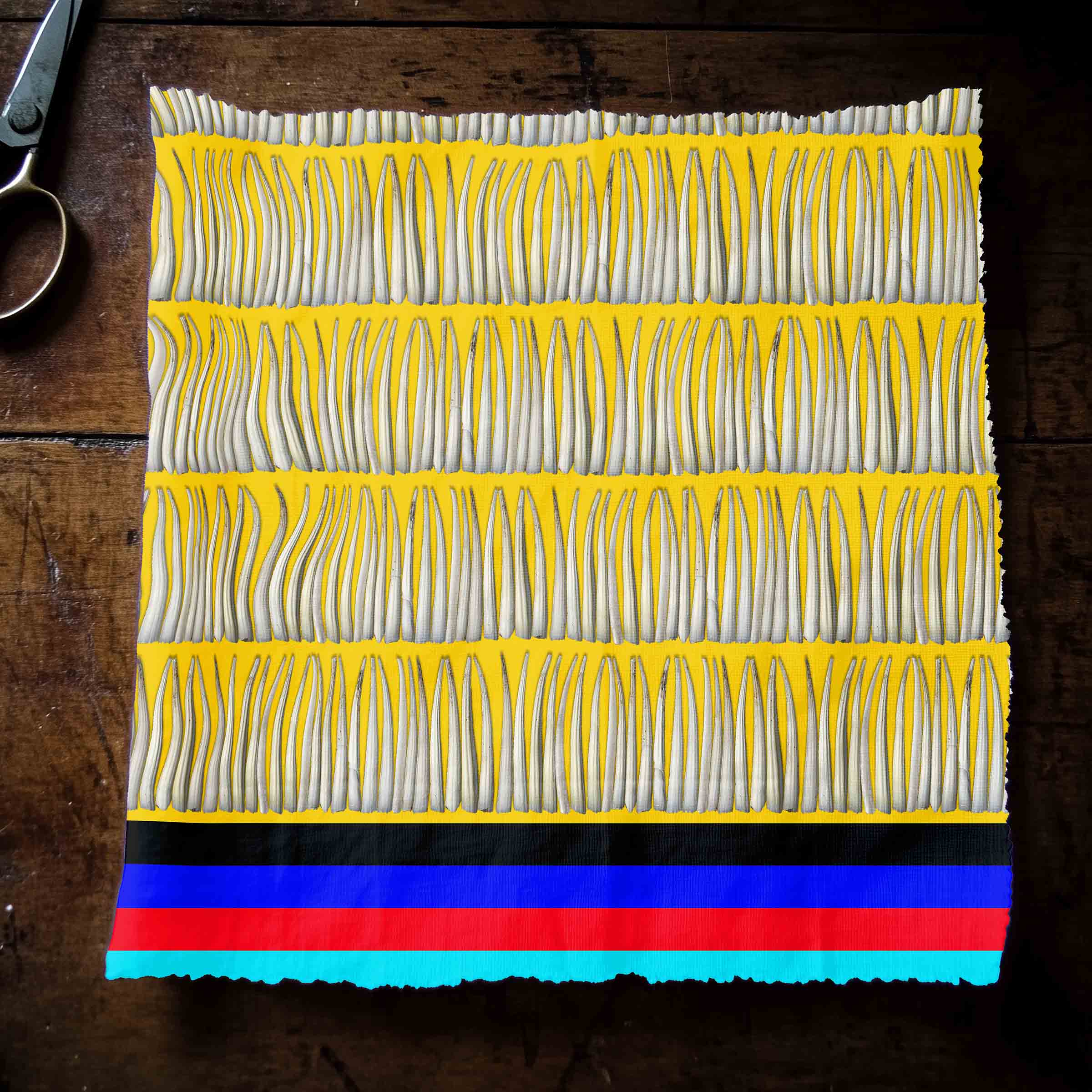 Dentalium on Yellow Cotton Poplin