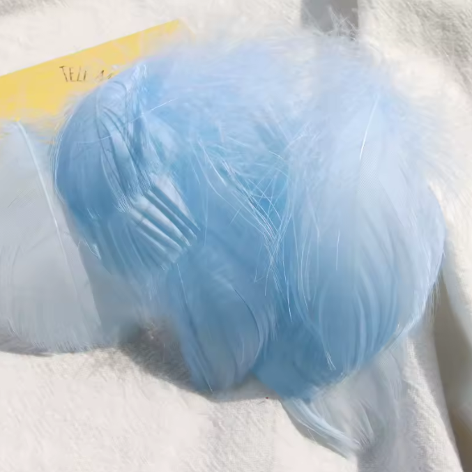 Florette Dyed Feathers