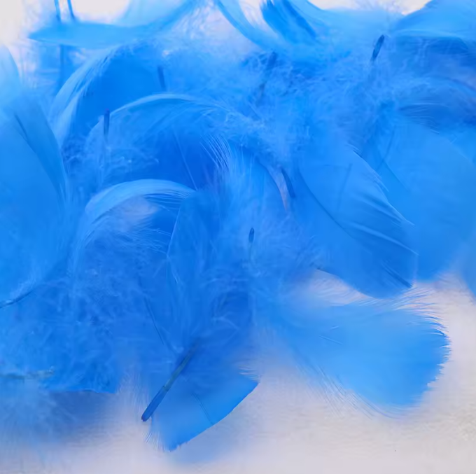 Florette Dyed Feathers