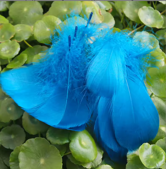Florette Dyed Feathers