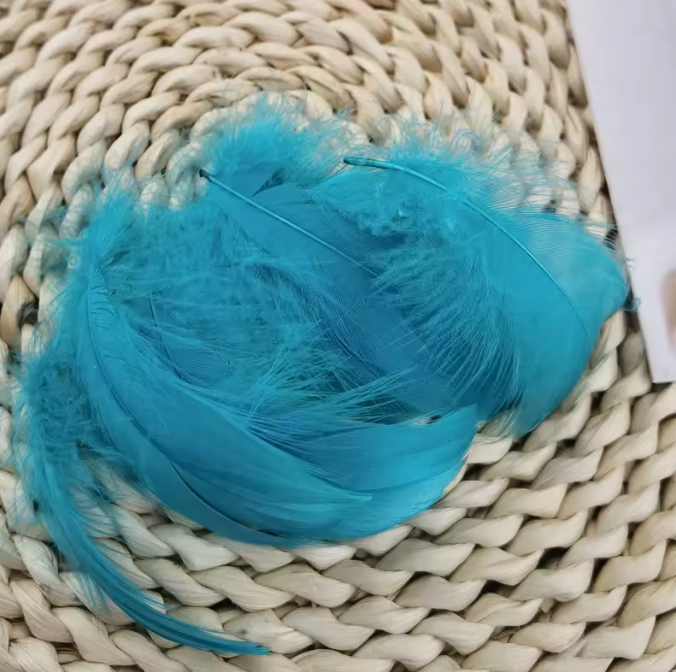 Florette Dyed Feathers