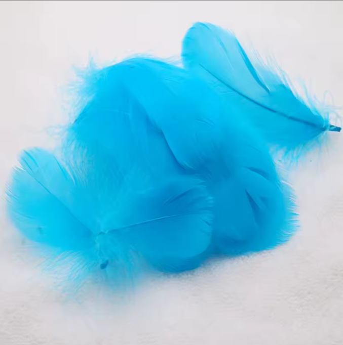 Florette Dyed Feathers