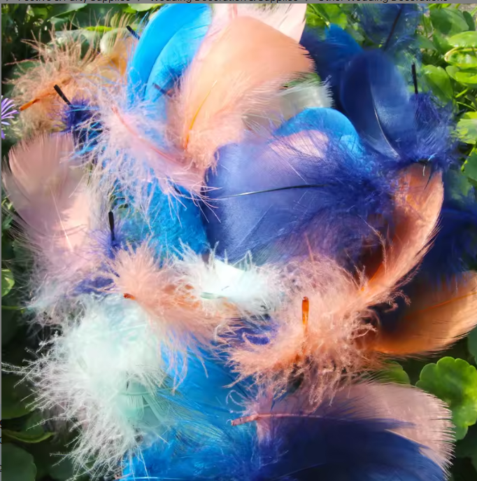Florette Dyed Feathers