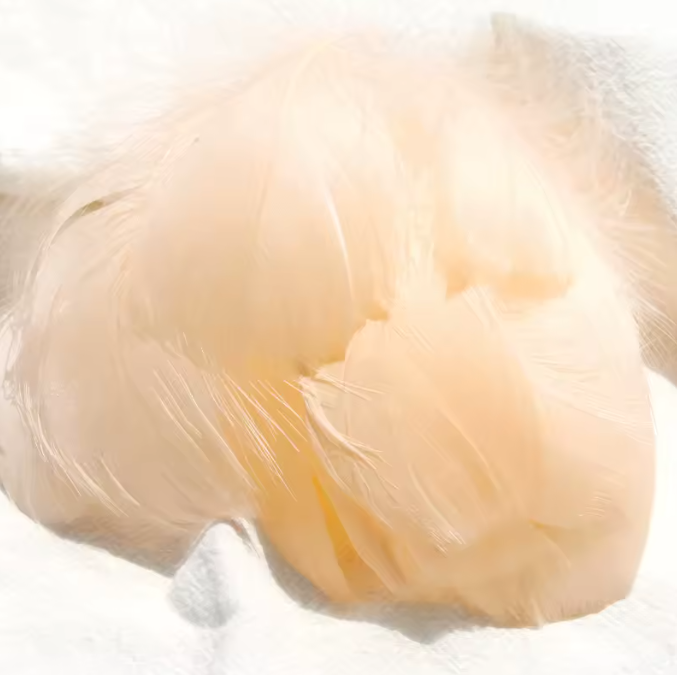Florette Dyed Feathers