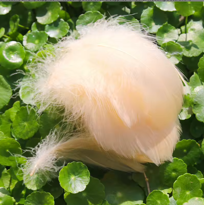 Florette Dyed Feathers