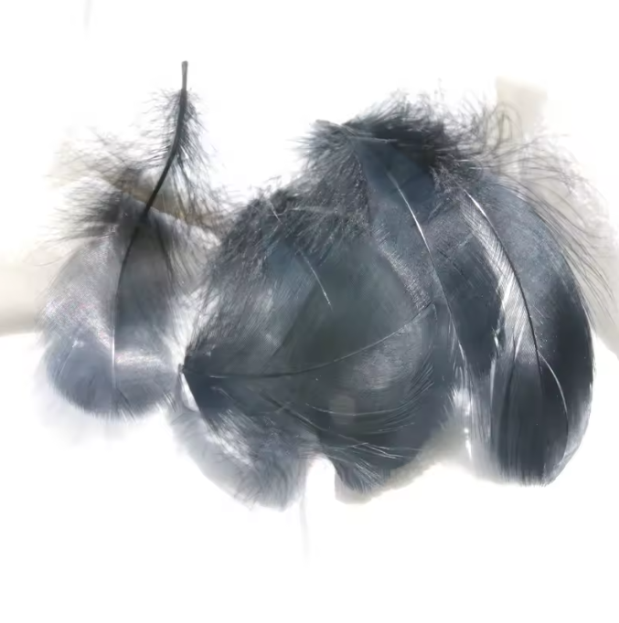 Florette Dyed Feathers