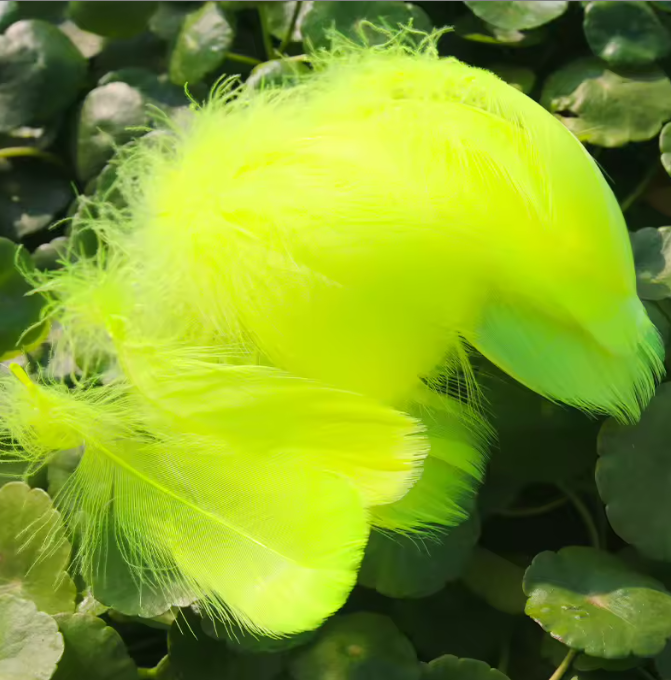 Florette Dyed Feathers