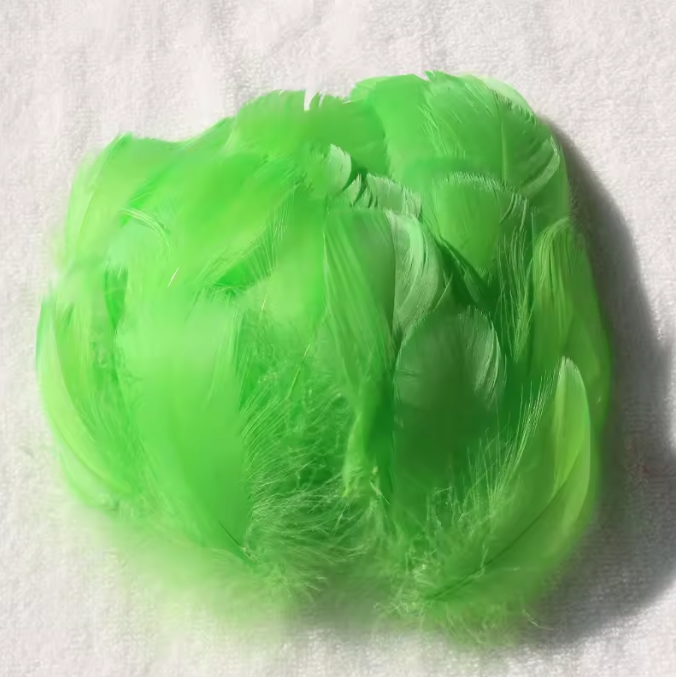 Florette Dyed Feathers