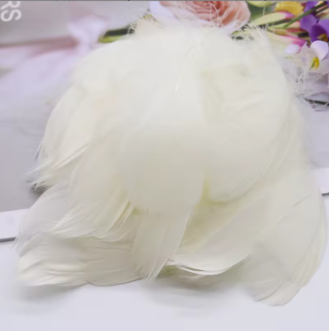 Florette Dyed Feathers