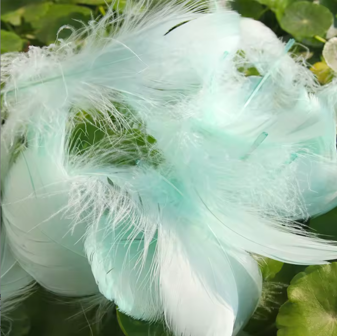 Florette Dyed Feathers