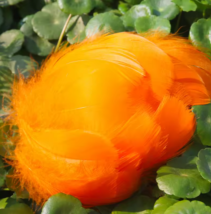 Florette Dyed Feathers