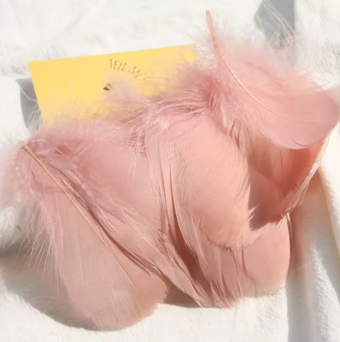 Florette Dyed Feathers