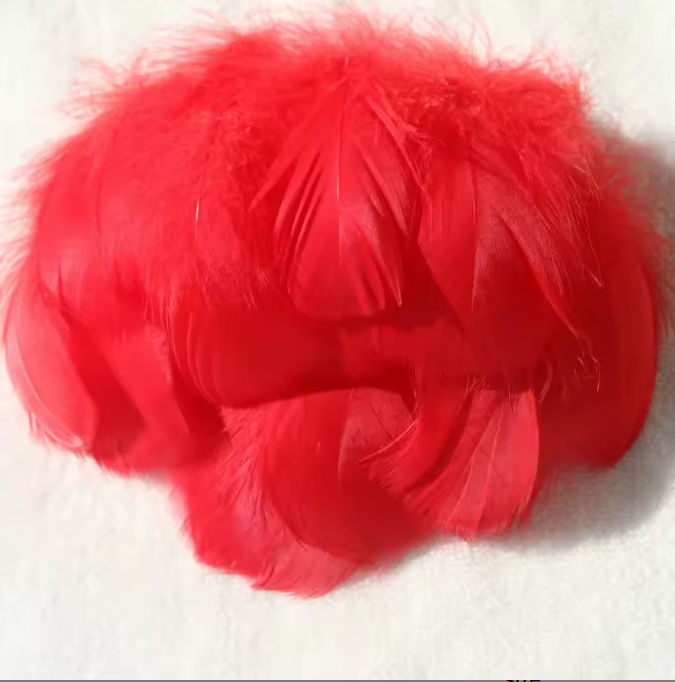 Florette Dyed Feathers