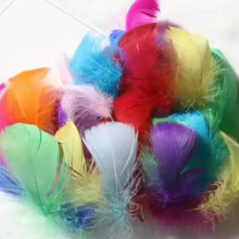 Florette Dyed Feathers