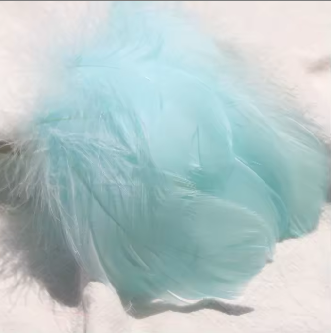 Florette Dyed Feathers